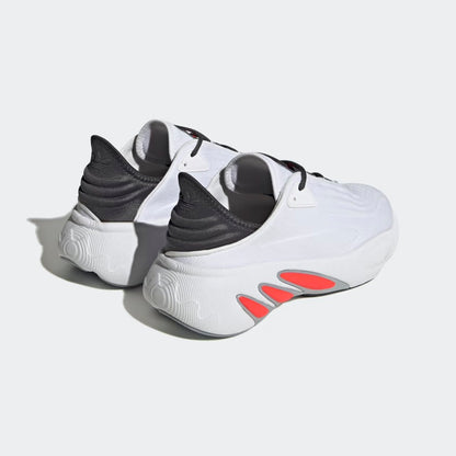 adiFOM SLTN